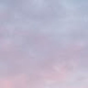 Meet your Posher, Peyton